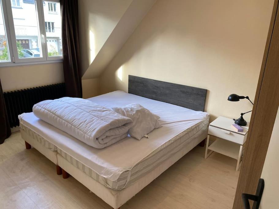 Appartement Spacieux 2 Chambres Quimper Buitenkant foto
